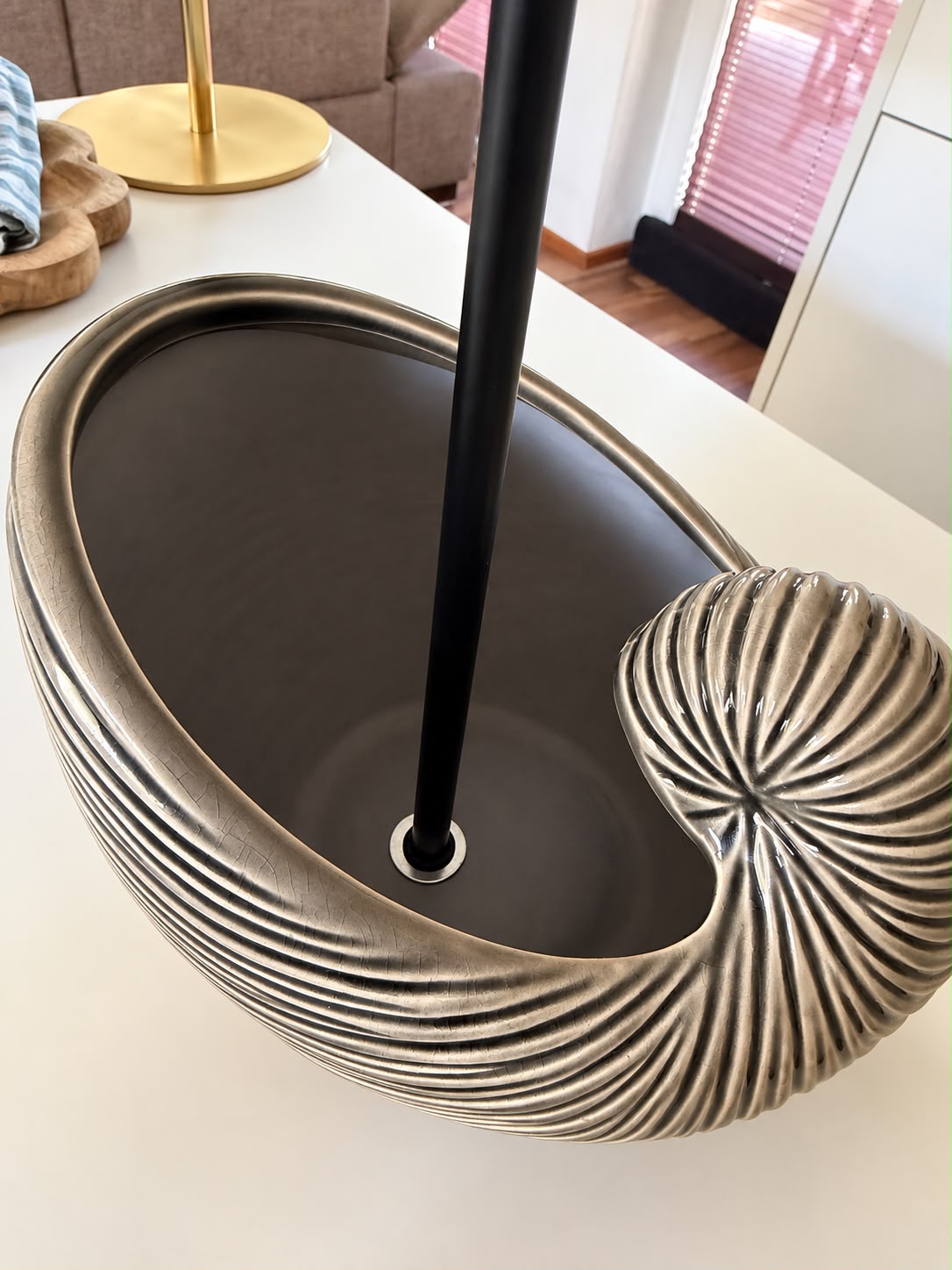 Nautilus